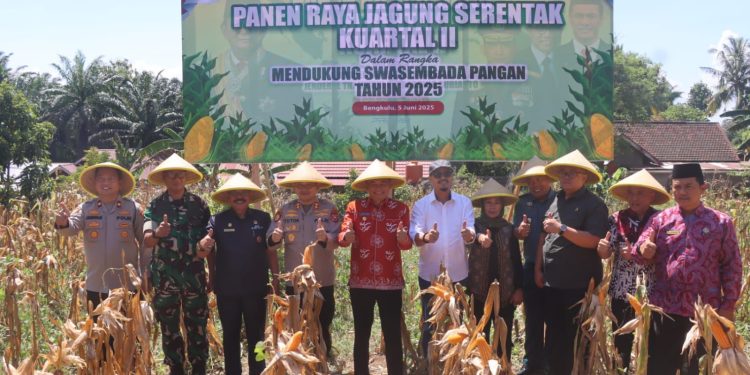 Polres Bengkulu Tengah Gelar Panen Raya Jagung Serentak Kuartal II