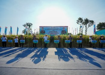 Panen Raya Jagung di Malang, Wujud Nyata Komitmen Polri dalam Ketahanan Pangan Nasional