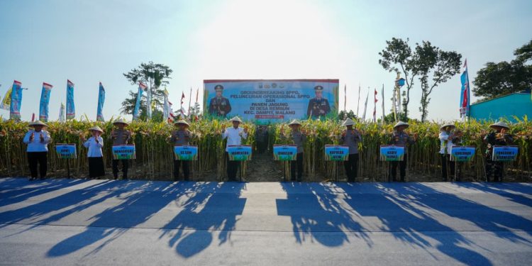 Panen Raya Jagung di Malang, Wujud Nyata Komitmen Polri dalam Ketahanan Pangan Nasional