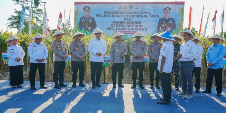 Panen Raya Jagung di Malang, Wujud Nyata Komitmen Polri dalam Ketahanan Pangan Nasional