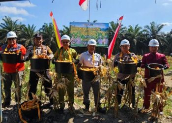 Polres Indragiri Hulu Gelar Panen Raya Jagung Dukung Program Ketahanan Pangan