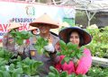 Dukung Ketahanan Pangan, Kapolda Kalteng Bersama Bhayangkari Panen Sayur di Lahan Pekarangan Pangan Lestari