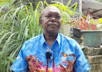 *Pemerhati Perdamaian Papua Apresiasi Satgas Damai Ops Cartenz, Ajak Warga Jaga Keamanan