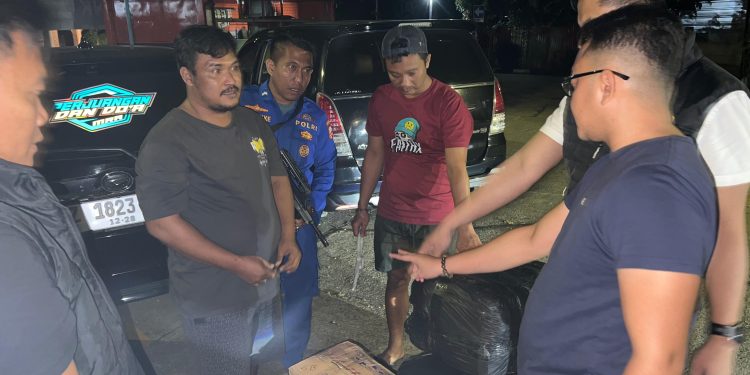 *Polisi Airud Gagalkan Pengiriman 50 Ribu Benih Lobster Ilegal di Cianjur, Negara Berpotensi Rugi Rp7,5 Miliar