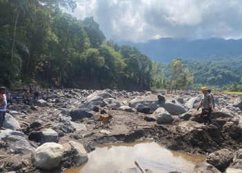 *Tim K9 SAR Ditpolsatwa Baharkam Polri Diterjunkan Bantu Pencarian Korban Bencana Alam di NTT*
