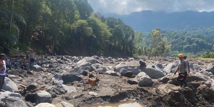 *Tim K9 SAR Ditpolsatwa Baharkam Polri Diterjunkan Bantu Pencarian Korban Bencana Alam di NTT*
