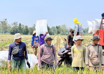 *Direktur Idensos Densus 88 AT Lakukan Kunjungan Kerja ke PT Sang Hyang Seri Subang, Jalin Silaturahmi dengan Eks Napiter*