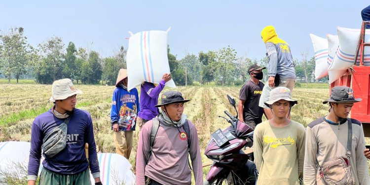 *Direktur Idensos Densus 88 AT Lakukan Kunjungan Kerja ke PT Sang Hyang Seri Subang, Jalin Silaturahmi dengan Eks Napiter*