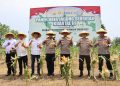 Kapolda Bengkulu Pimpin Panen Raya Jagung Serentak Kuartal III Tahun 2025