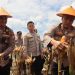 *Kapolda Bengkulu Panen Jagung Bhayangkara Merah Putih, Sebagai Wujud Sinergitas Polda Bengkulu bersama Pemda Provinsi Bengkulu dan PT YKB Merah Putih*