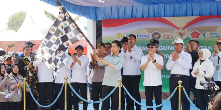 Tanam Serentak, 1.268 Ton Jagung Dilepas Polri untuk Bulog