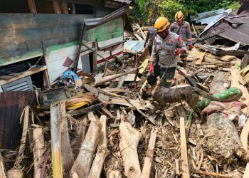 Tim K9 Polri Temukan Sesosok Mayat Wanita di Depan Gereja GKPA Huta Godang, Batang Toru