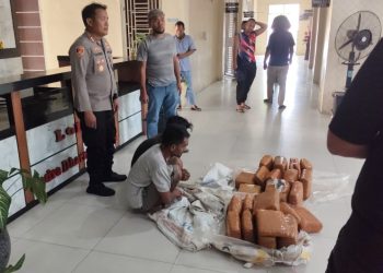*Ditengah pemulihan pasca banjir, Polres Aceh Tenggara berhasil Gagalkan Peredaran 50,7 Kg Ganja*