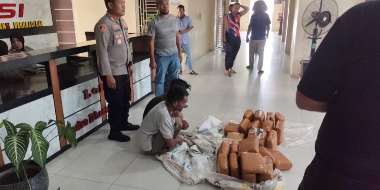 *Ditengah pemulihan pasca banjir, Polres Aceh Tenggara berhasil Gagalkan Peredaran 50,7 Kg Ganja*
