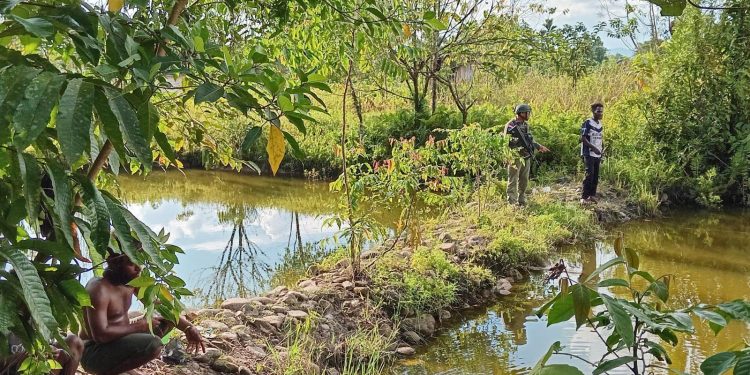 *Ka Ops Damai Cartenz 2026: Kedekatan Polri dan Masyarakat Kunci Kedamaian Papua*