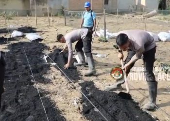 Taruna Akpol Pulihkan Ketahanan Pangan dan UMKM Warga Aceh Tamiang Lewat Pekarangan Pangan Lestari
