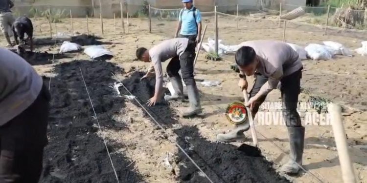Taruna Akpol Pulihkan Ketahanan Pangan dan UMKM Warga Aceh Tamiang Lewat Pekarangan Pangan Lestari