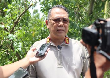 *Satgas Damai Cartenz Bongkar Jaringan Pembelian Senjata untuk KKB di Papua, Lima Orang Jadi Tersangka*